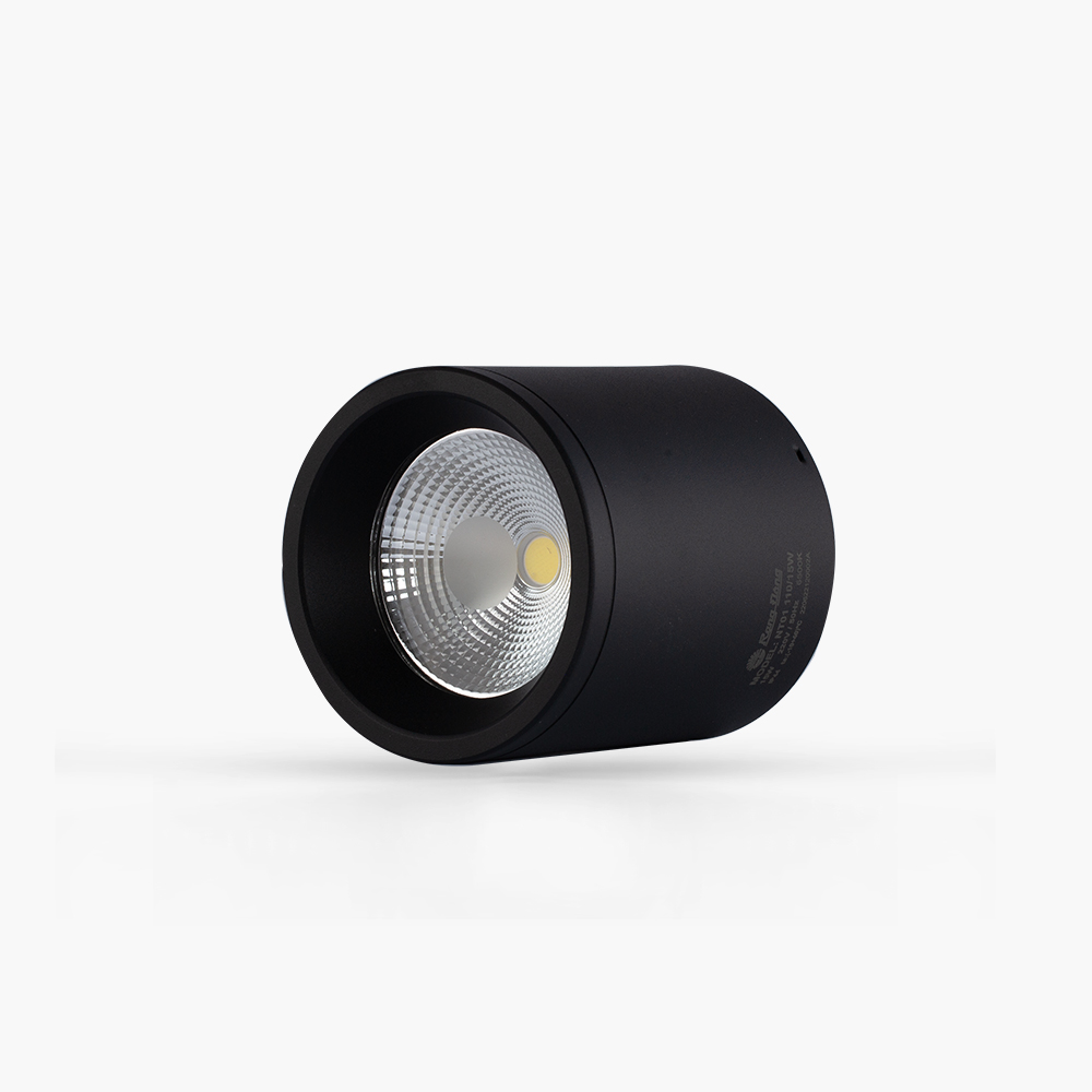 Đèn Downlight nổi trần trang trí Copy